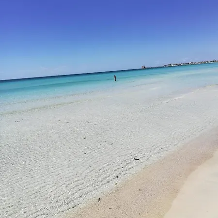 Chiocciola Di Mare *